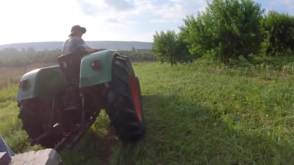 农夫驾驶拖拉机穿过桃园 准备在收获季节采摘 — 图库视频影像