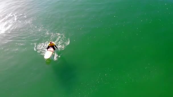 在太平洋的亨廷顿海滩冲浪比赛中 冲浪运动员Zander Adelsohn身穿黄色湿衣 在空中驾驶Dji 4K无人驾驶飞机从空中发射了一个浪头 — 图库视频影像