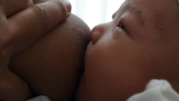 Moeder Borstvoeding Baby Thuis Moeder Borstvoeding Zuigeling Borstvoeding Kind Zogende — Stockvideo