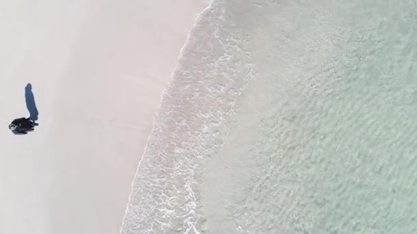 Pessoa Caminhando Praia Mar Filmado Cima Com Drone — Vídeo de Stock
