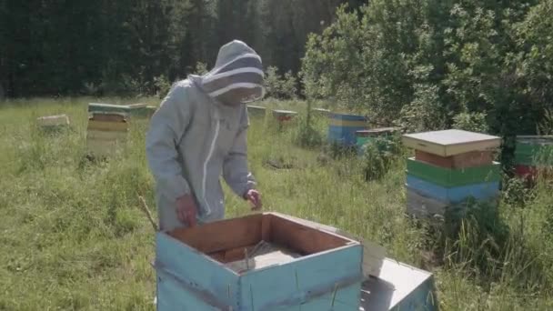 Včelař Kostýmu Kouří Včely Dřevěném Úlu — Stock video