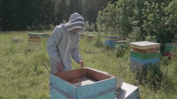 Apicultor Disfrazado Fuma Abejas Una Colmena Madera — Vídeos de Stock