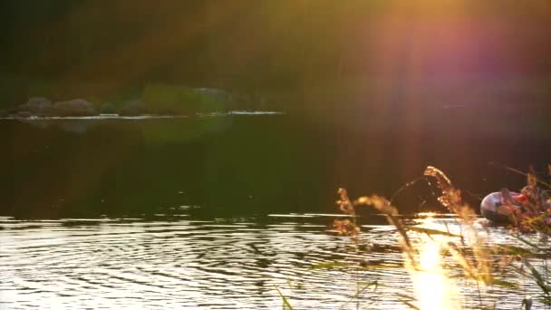 爸爸和女儿坐在橡皮艇上享受北欧宁静的夏天 — 图库视频影像