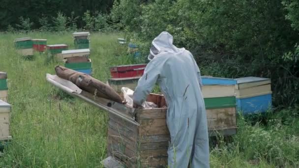 男蜂饲养员检查蜂窝 — 图库视频影像