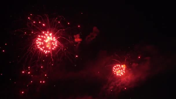 Meerdere Rode Witte Vuurwerk Barsten Nachtelijke Hemel — Stockvideo