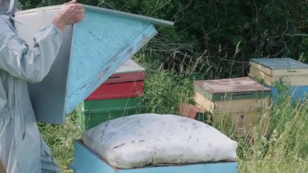 Včelař dává střechu na včelí úl