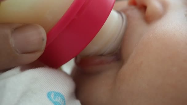 Anne Kucağında Bebek Süt Şişesiyle Anne Sütüyle Besleniyor Şişeden Süt — Stok video