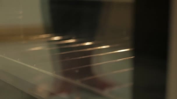 オーブンにパン焼き盆を入れる — ストック動画