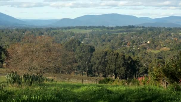 Dandenong Cordilheiras Austrália Longe Dia Claro Voltar — Vídeo de Stock