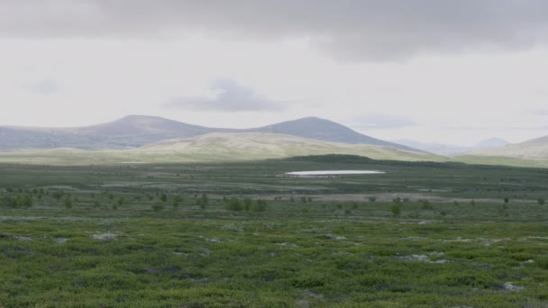 Panoramisch Uitzicht Het Nationaal Park Dovrefjell Noorwegen — Stockvideo