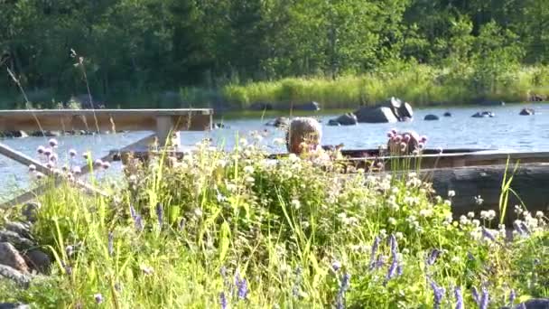 Glada Barn Leker Utomhus Uppvärmda Bad Vid Havet Blommande Sommarblommor — Stockvideo