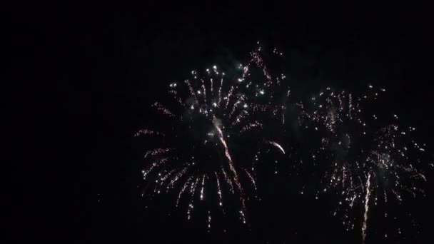 夜空に赤と白のスターバースト花火が爆発 — ストック動画