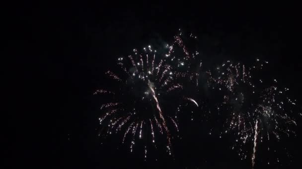 Rot Weißes Sternenfeuerwerk Explodierte Nachthimmel — Stockvideo