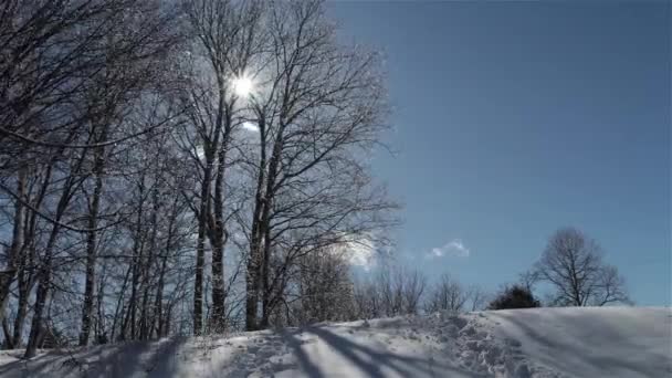 Timelapse Solig Dag Med Ett Litet Barn Som Springer Upp — Stockvideo