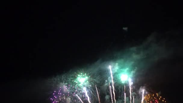 Fuegos Artificiales Multicolores Que Explotan Cielo Nocturno Fuegos Artificiales Del — Vídeos de Stock