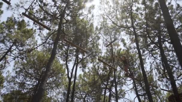 Tiener Meisje Balanceert Hoge Balken Touw Tree Top Adventure Park — Stockvideo