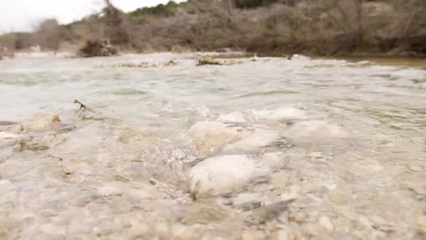 Fly Fisher Caminha Pesca Leito Calcário Rio Medina Texas Hill — Vídeo de Stock