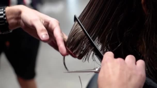Barber Levágja Lány Haját — Stock videók
