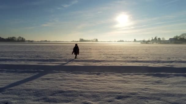 Ragazzino Che Gioca Nella Neve Sul Grande Campo — Video Stock