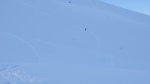 Skier Seul Montée Aventure Dans Les Sentiers Non Balisés Nature — Video