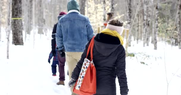 Familjevandring Genom Vinterskogen Slow Motion — Stockvideo