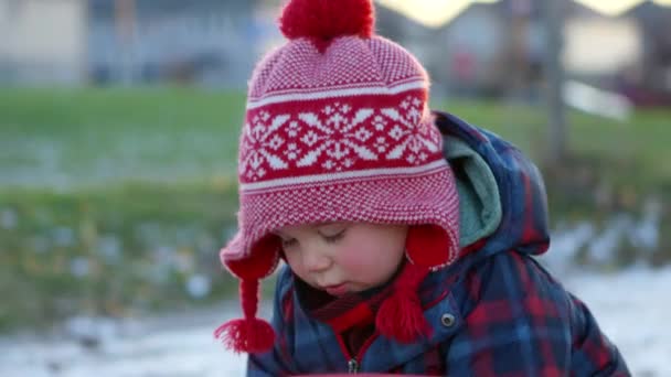 Niño Pequeño Parque Durante Otoño Jugando Cerca Cara Sombrero Invierno — Vídeos de Stock