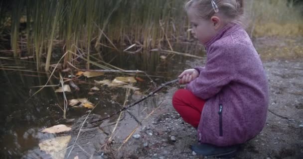 Little Girl Playing Stick Lake Footage Shot Bmpcc 60Fps Speedbooster — Stock Video