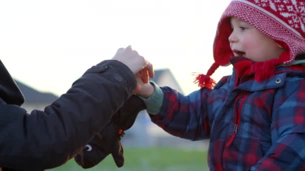 Anya Megmutatja Kisfiúnak Hogyan Számolja Meg Ujjait Parkban Késő Ősszel — Stock videók