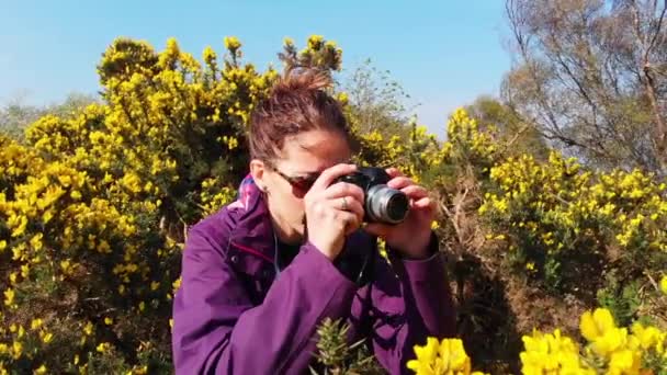 Krásná žena fotograf je obklopen žlutými květy, zatímco ona je fotografování na ně.