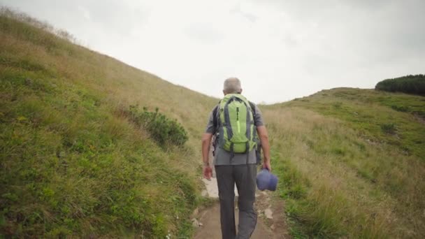 Wandelaar Wandelen Berg Genieten Van Het Uitzicht — Stockvideo