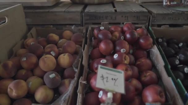 Supermercado Dolly Lento Melocotones Ciruelas Con Precios Tienda Comestibles — Vídeo de stock