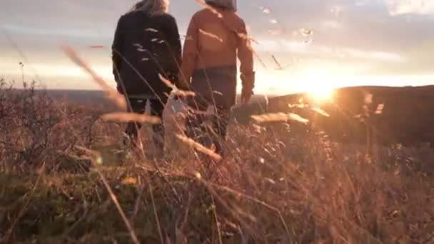 Hombre Mujer Caminando Través Hierba Iceland Durante Hermosa Puesta Del — Vídeo de stock