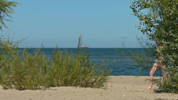 Bikinili Kızlar Kumlu Sahilde Yavaş Çekimde Kameraya Doğru Yürüyorlar — Stok video