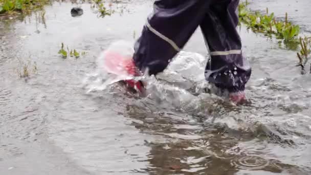 かわいい子供が走り ジャンプし 光の雨の中で水たまりに飛び込む — ストック動画