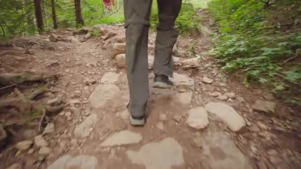 Hiker Walking Mountain Trail — Stock Video