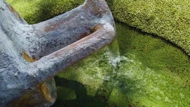 Agua Que Fluye Desde Boquilla Hasta Musgo Estanque Cubierto Algas — Vídeos de Stock