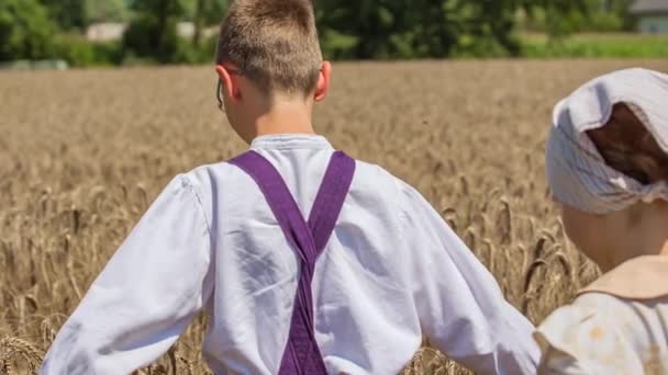 Zwei Kinder Gehen Mit Ausgebreiteten Armen Durch Das Weizenfeld Zeitlupe — Stockvideo