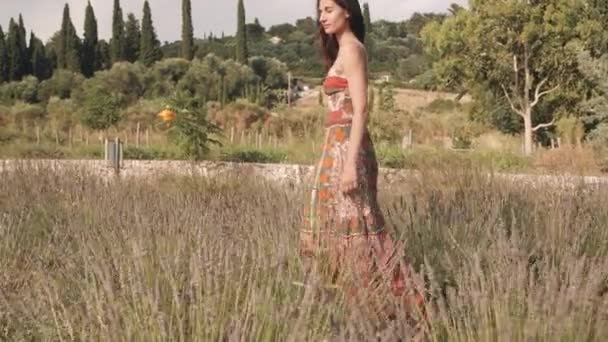 Elegante Giovane Donna Nella Riviera Francese Campo Lavanda Estate — Video Stock