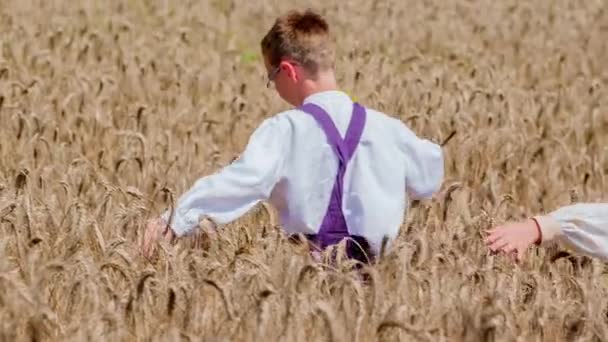 Zwei Kinder Rennen Mit Ausgebreiteten Armen Durch Das Weizenfeld Und — Stockvideo