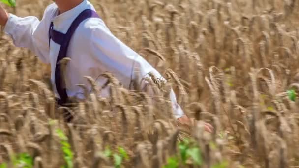 Elini Buğday Tarlasında Yavaşça Hareket Ettiren Genç Bir Çocuk Görüntüsü — Stok video