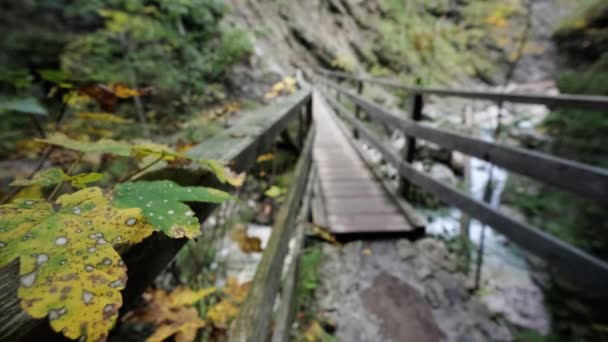 Hombre Que Explora Cascada Martuljek Durante Día Gozd Martljek Eslovenia — Vídeos de Stock