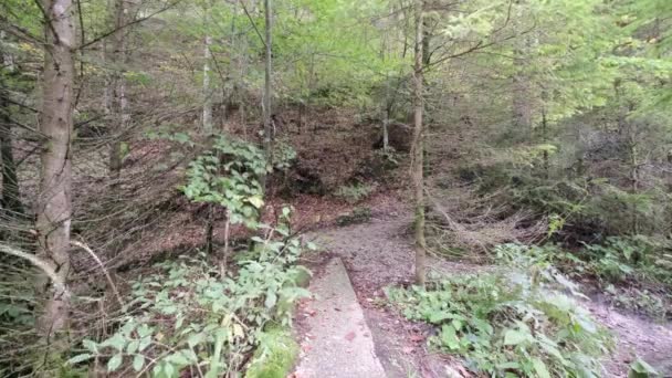 Een Man Die Overdag Martuljek Waterval Verkent Gozd Martljek Slovenië — Stockvideo