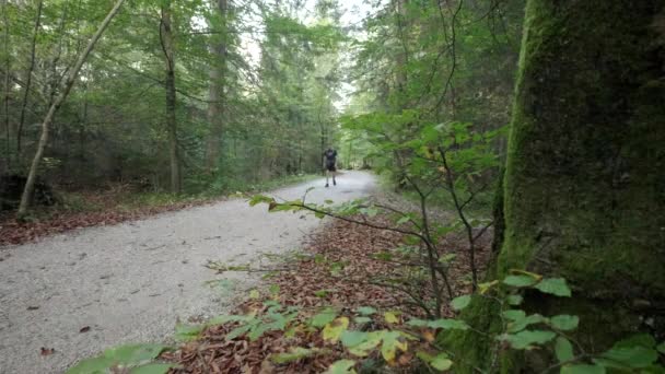 一名男子白天在斯洛文尼亚戈兹德 马尔特列克和特里格拉夫国家公园探险马蒂列克瀑布 在一片绿树成荫的森林里走向摄像机的人 — 图库视频影像