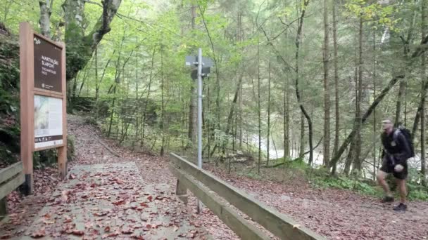 Een Man Die Overdag Martuljek Waterval Verkent Gozd Martljek Slovenië — Stockvideo