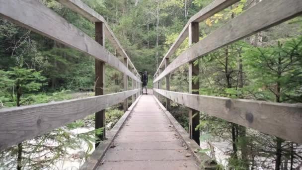 Hombre Que Explora Cascada Martuljek Durante Día Gozd Martljek Eslovenia — Vídeos de Stock