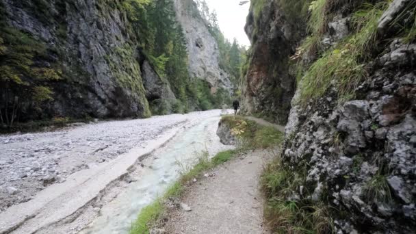 Uomo Alla Scoperta Della Cascata Martuljek Durante Giorno Gozd Martljek — Video Stock