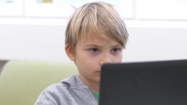 Menino Escola Jovem Focado Lendo Computador Portátil — Vídeo de Stock