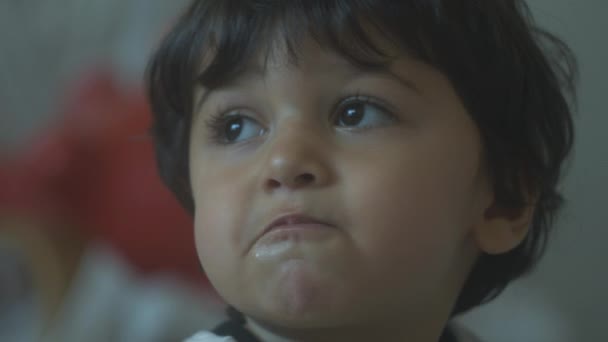 小さな男の子幼児とともに茶色の目と茶色の髪チューイン彼の食べ物と検索アップクローズアップ肖像画 — ストック動画