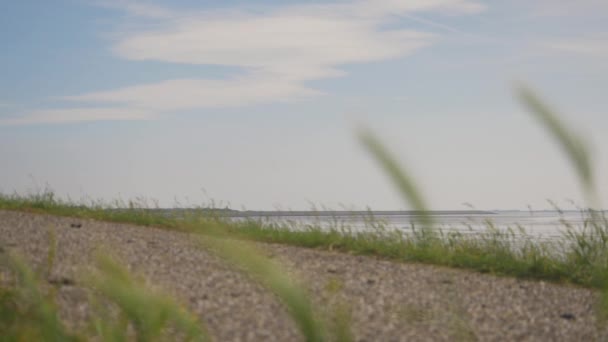 Een Slow Motion Shot Van Een Vrouwelijke Fietser Een Oranje — Stockvideo