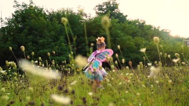 夏に蝶の妖精のように身を包んだ夕日の花の分野で子供を渦巻く — ストック動画